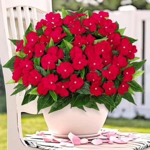KHOYIME Artificial Flowers for Outdoors, 3PCS Red Fake Impatiens Flower Bouquet Faux Silk Floral Stems Plants Bulk UV Resistant Indoor Decorations for Table Centerpieces Home Garden Wedding Decor