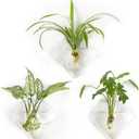 Mkono Wall Planter Hanging Propagation Stations Flower Vase Glass Pots Holder for Hydroponic Plants, Indoor Home Office Living Room Bathroom Decor Gifts, 3 Pack