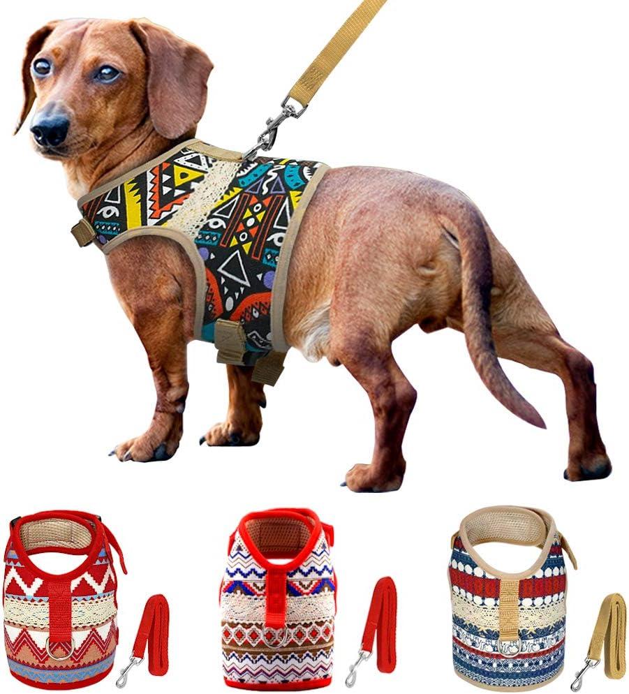 World Collection Harness for Small Breeds (Small, Pueblo)