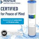 Pentair Pentek EPM-20BB Big Blue Carbon Water Filter, 20-Inch, Whole House Modified Epsilon Carbon Block Replacement Cartridge with Bonded Powdered Activated Carbon (PAC) Filter, 20" x 4.5", 10 Micron