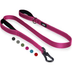 TwoEar 4FT 1IN Strong Rose Dog Leash with 2 Padded Handles, Traffic Handle Extra Control, Comfortable Soft Dual Handle, Auto Lock Hook, Reflective Walking Lead for Small Medium and Large Dogs