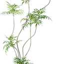 Artificial Mahonia fortunei Tree,6ft Tall Fake Plants Artificial Mahonia fortunei Plants for Indoor, Fake Trees for Office Home Living Room Floor Patio Greening Porch Decor