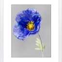 VNVNK 14x18 Frame White, Perfect for 14x18 Inch Picture without Mat or 10x14 Inch Picture with Mat, Home Wall Decor Picture Frame-1 PCS