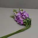 Purple Delphinium Artificial Flower 6PCS Purple Faux Larkspur Silk Delphinium Flowers 29.52" Long Stem Fake Flower for Tall Vase Wedding Floral Arrangements Home Table Decor(Purple)