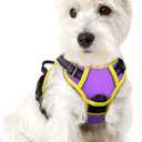 rabbitgoo Dog Harness No Pull with 2 Leash Clips, Adjustable Soft Padded, Reflective Oxford No Choke Pet Vest with Easy Control Handle for Puppy, Purple & Yellow, XS