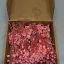 4000+ Mini Pink Dried Babys Breath Flowers 6'', 70Pcs Natural Gypsophila for DIY Art Crafts, Dry Flowers Bulk for Vase Resin Nails, Valentine's Day Decor, Room Table Wedding Gifts