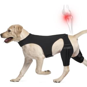 Dog Knee Brace for Back Leg, Dog Leg Brace Fit Large Middle Small Dogs for Luxating Patella, Hip Dysplasia, Torn ACL Hind Leg, Ligament Injuries (Large)