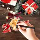 2 x HEXMOZ Cat Ornament for Christmas Tree 2025 - Funny Cat Gag Gifts for Women, Men, Kitty Lovers, Dad, Mom, Owner Exchange Ideas, Animal Christmas Decoration - Acrylic Wood Xmas Ornament (Coastal Style 2025)