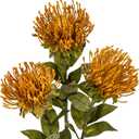 Hollyone 3Pcs Yellow Artificial Fall Flowers Spider Mum Flower 28.3'' Long Stem Fake Chrysanthemum Flowers Leucospermum Cordifolium Arrangement Faux Pincushion Flowers for Office Bouquet Home Decor