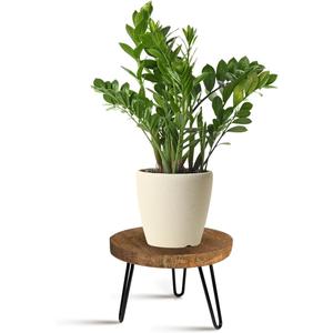 Plant Stand Indoor Outdoor Wood Mid Century Plant Stand for Indoor Plants, Modern Plant Table Round Plant Stool, Boho Rustic Wooden Stool for Plant Pot Hol (L) (Dark Brown)