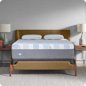 Sealy Dreamlife 14 Foam Mattress-in-a-Box, Queen, SealyComfort Gel Memory Foam, SealySupport Transition Foam, Machine Washable Cover