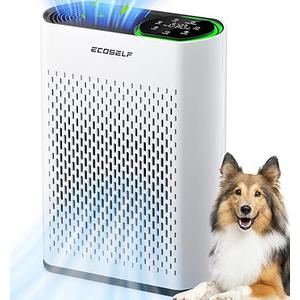 Powerful Air Purifiers for Home Large Room 06
