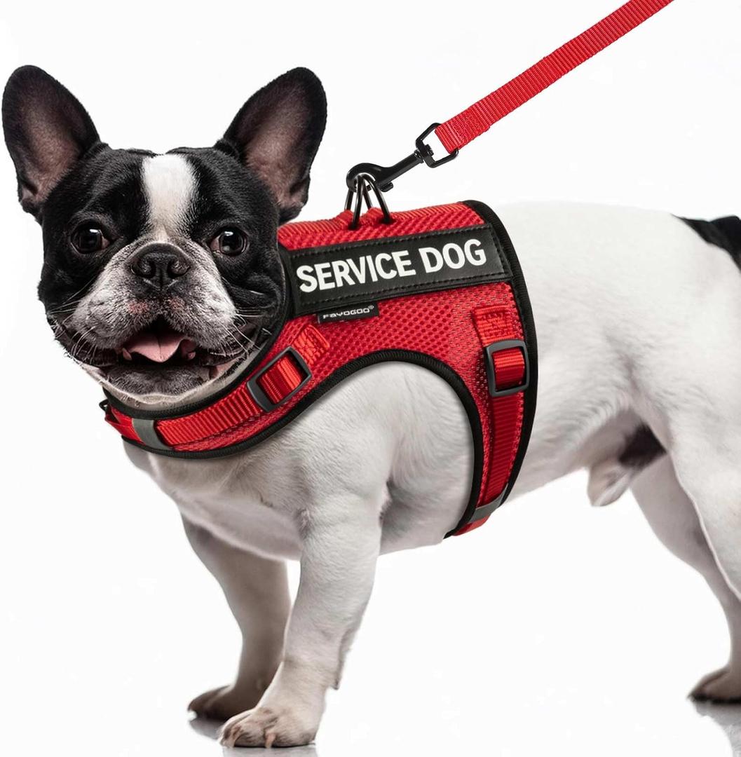FAYOGOO Service Dog Vest for Small Dogs - Air Mesh Breathble Emotional Support Animal Vest with DIY Patches - Puppy Harness and Leash Set Adjustable Neck and Chest (Red)