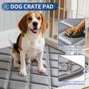 Dog Bed Mat, Soft Foam Kennel Pad Washable Pet Dog Crate Pad with Anti-Slip Bottom for Small/Medium Dogs, Grey 35"x24" (Gray)