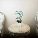 15 Inches Tall Artificial Silk Phalaenopsis Orchid Flower Plant Pot Teal Arrangements (Golden Blue)