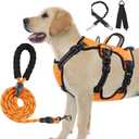 Escape Proof Dog Harness Large Sized Six Point Adjustalbe, Soft Padded Full Body No Pull Dog Harness and Leash Set, Reflective Dog Vest Harness with Handle, Dog Harness for Large Size Dog(Orange, M)