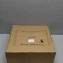 10 Pack String Light Poles,10 Ft Light Poles for Outside String Lights,Outdoor Lights Pole with Fork,Metal Poles Stand for Patio Deck Backyard