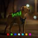Light Up Dog Harness, 7 Color Changing LED Dog Harness, Rechargeable No Pull Dog Vest Harness, Adjustable Rainproof Pet Harness, Glowing Dog Vest Harness for Dogs Night Walking