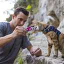 Nulo Freestyle Grain-Free Perfect Purees Premium Wet Cat Treats, Squeezable Meal Topper for Felines, High Moisture Content to Support Cat Hydration, 0.5 Ounce, Variety Pack (EXP 10/09/26)