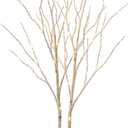 LITBLOOM Lighted White Twig Branches 32IN 100 LED with Timer Battery Operated, Artificial Tree Branch with Warm White Lights for Holiday Xmas Home Decoration Indoor Outdoor Decor
