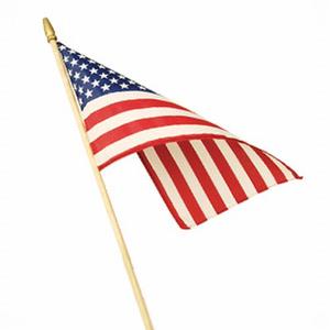 U.S. Handheld Flag, 2 Pack