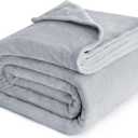 Bedsure GentleSoft Fleece Blankets Queen Size Light Grey - Bed Blanket Soft Lightweight Plush Fuzzy Cozy Luxury Microfiber, 90x90 inches