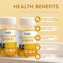 Sugar-Free Bovine Colostrum Supplement Gummies,Grass-Fed Colostrum for Women &Men, Gut Health, Immunity, Cognitive, Orange Flavor 120 Gummies with 40% IgG (60 Count (Pack of 2))