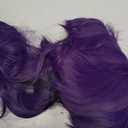 JoneTing Dark Purple Ponytail Wig+ Hair Cap Long Purple Straight Wig with Double Ponytais and Bangs for Women Long Violet Hair for Anime Cosplay Halloween Party Costume Outfit
