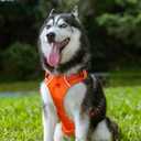 EXCELLENT ELITE SPANKER Escape Proof Dog Harness Reflective Harness with Padded Handle Breathable Durable Adjustable Vest for Medium Large Dogs Walking Training and Running Gear (Black)