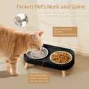 Elevated Cat Bowl, Raised Cat Food and Water Bowl Set for Indoor Cats, Splash Proof with 4 Stainless Steel Pet Food Bowls for Cats and Puppies, Whisker Fatigue and Dishwasher Safe - Black
