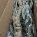 Artificial Olive Tree 8FT Tall Faux Silk Plant Fake Potted Olive Tree with Branch Leaves and Lifelike Fruits for Home Office Store Decor Indoor