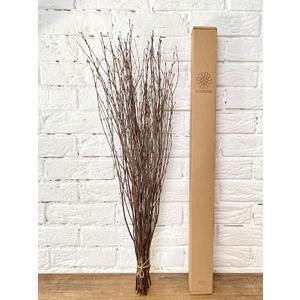 ECOVENIK 25 psc - Branches - 73 cm, Natural Birch Twigs, Pack of 20-25 Stems, Long for Floor vases, (Natural-Brown Color )