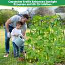 2Pack 51x35Inch Cucumber Trellis for Raised Bed, Adjustable A-Frame Garden Trellis for Climbing Plants Outdoor with Climbing Net, Meal Plant Trellis for Vegetables Pea Bean Tomato Squash Grape