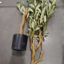 Faux Olive Tree 4ft with Large Olive Branches and Lifelike Leaves | 4ft Olive Tree - Small Olive Tree Artificial Indoor for Modern Home Office House Living Room Decor
