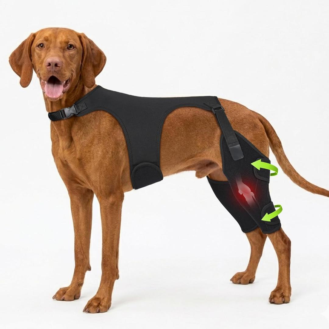 Dog Knee Braces for Back Leg, Adjustable Leg Brace with 2 Stabilizers, Hip Support to Reduces Pain, Ligament Injuries, ACL CCL & Luxating Patella for Small Medium Large Dogs, 2XL (XXL)