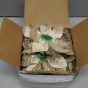 GREENTIME 12 Pcs Glitter Poinsettia 5.5" Artificial Flowers Christmas with Clips Stems Xmas Tree Ornaments for New Year Party Stairs Fireplace Porch Balcony Garden Church Wreath Decoration (Golden)