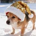 IZUS Women Men Christmas Santa Hat Velvet Red Hats with Fluffy Plush White Brim/Pom for Xmas New Years Holidays Party (One Size, Sequins-gold)