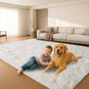 6x9 Rugs for Living Room, Rugs for Bedroom, Plush Fluffy Carpet, Non-Slip Upgrade Cream White Rug, Suitable for Kids Home Decor Aesthetics Dorm.