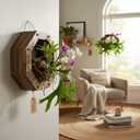 Staghorn Fern Mounting Kit - Wood Wall Planter for Orchids,Herbs & Indoor Plants | Hanging Plant Holder,Basket & Stand for Wall Decor(8.18inch)