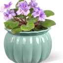 African Violet Pots, 6 inch Pumpkin-Style Ceramic Easy Self Watering Plant Pot for Busy Plant Lovers, Automatically Absorb Appropriate Amount of Water, Flower Pot Indoor-Plants Not Included