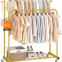 Laiensia Double Rods Garment Rack with Wheels, Clothing Rack for Hanging Clothes,4 Hooks, Multifunctional Bedroom Clothes Rack, Gold