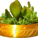 One Ring Succulent Planter Decor, One Ring Cacti & Bonsai Planter & Catchall, Unique Ring Jar - Gift for The Ring Fans, Inspired by for Ring Fans (Gold)