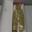 Losris Christmas Artificial Glitter Berry Stem Decorations Decorative Bead Sticks Xmas Picks Glittery Twigs Branches for Christmas Tree Wreath Gift Vase Home Decor Party Ornaments Gold 24 PCS