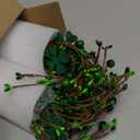 Nitial 2 Pcs St. Patricks Day Decorations St. Patrick's Shamrock Picks Vase Artificial Clover Branches Berry Stems Decoration for Table Centerpiece Floral Arrangements Party Irish Vase Decor