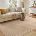 Soalmost 5x7 Washable Area Rug with High-Low Pile for Living Room, Brown