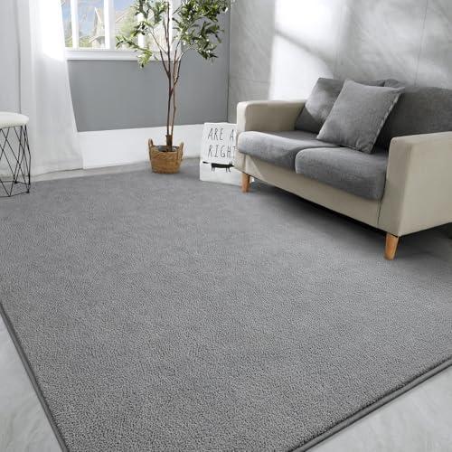 Hutha Large Area Rugs for Bedroom Living Room, 5x8 Grey Solid Fluffy Super Soft Memory-Foam Furry Bedside Carpets, Modern Indoor Floor Rug Aesthetic Minimalist Rug for Kids Girls Boys Home Decor