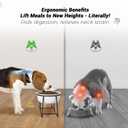 Ceramic Elevated Dog Bowl Set - Raised Food and Water Bowls with Metal Stand - Double Pet Dishes for Small and Medium Dogs - 2 Cups - 27 fl oz - Matte Whit