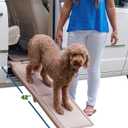 Pet Gear SupertraX Ramps for Dogs and Cats, Maximum Traction Surface, Portable/Easy-Fold (No Tools Required), Built in Handle for Travel, 5 Models, 42" L X 16" W, Supports 150 lbs, Sand