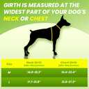 No Pull Dog Harness for Medium Dogs, 4 Secure Quick-Release Buckles & 2 Metal Leash Clips, Soft Control Handle, No-Choke Fit for Walking, Training & Everyday Use, Black, M