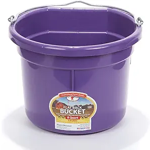 Little Giant Flat-Back Dura-Flex Plastic Bucket, 8-Quart, Purple 2 Pack